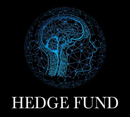 division_plutonis_group_hedge_fund