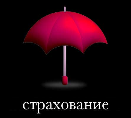 страхование_plutonis